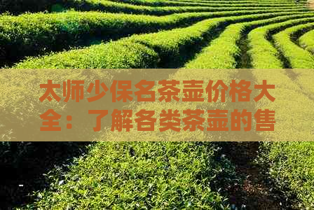 太师少保名茶壶价格大全：了解各类茶壶的售价及购买建议