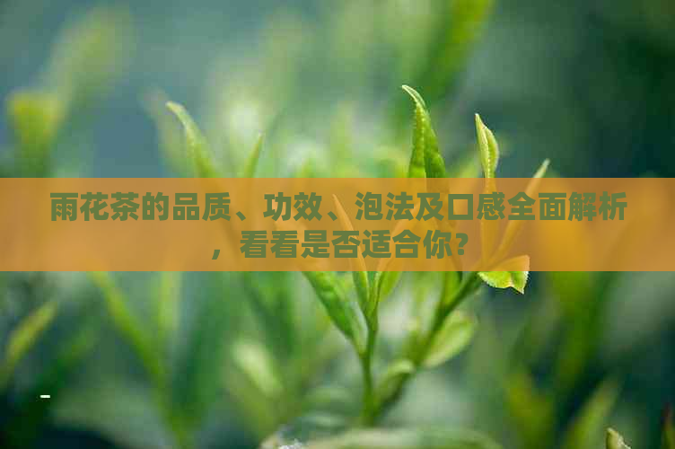 雨花茶的品质、功效、泡法及口感全面解析，看看是否适合你？