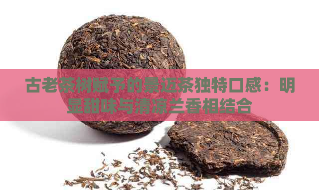 古老茶树赋予的景迈茶独特口感：明显甜味与清凉兰香相结合