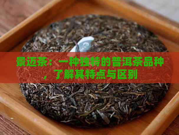 景迈茶：一种独特的普洱茶品种，了解其特点与区别