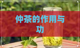 仲茶的作用与功