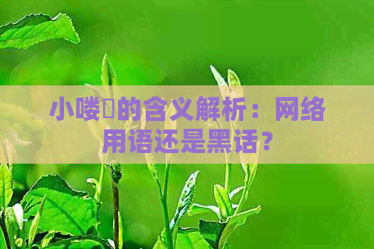 小喽啰的含义解析：网络用语还是黑话？