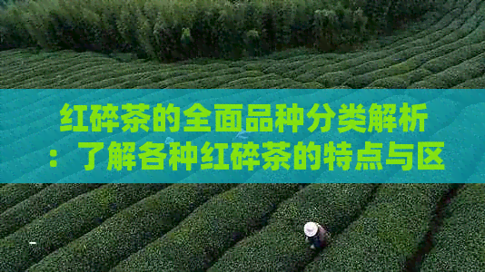 红碎茶的全面品种分类解析：了解各种红碎茶的特点与区别