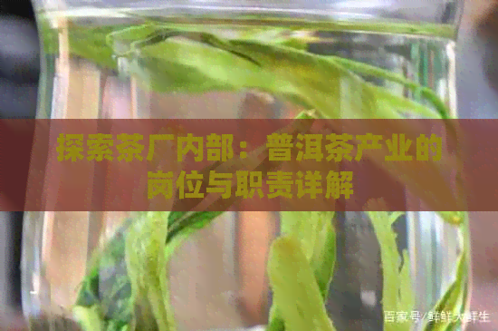 探索茶厂内部：普洱茶产业的岗位与职责详解