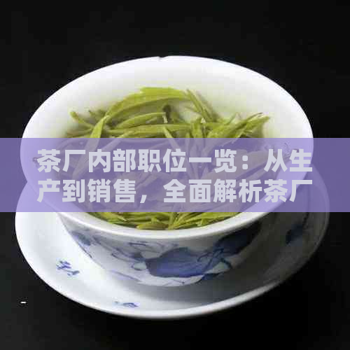 茶厂内部职位一览：从生产到销售，全面解析茶厂的主要工作岗位