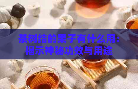 茶树结的果子有什么用：揭示神秘功效与用途