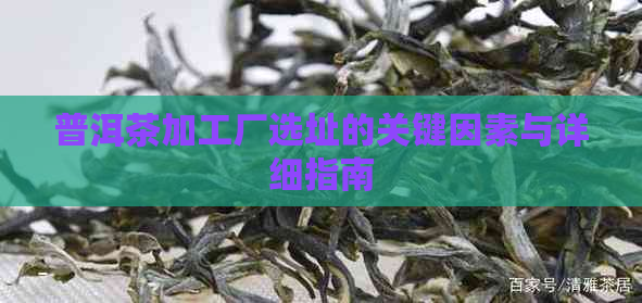 普洱茶加工厂选址的关键因素与详细指南