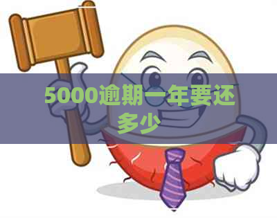 5000逾期一年要还多少