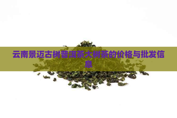 云南景迈古树普洱茶大树茶的价格与批发信息