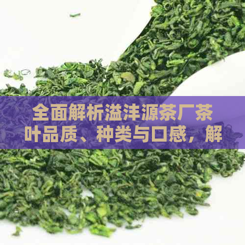 全面解析溢沣源茶厂茶叶品质、种类与口感，解答用户最关心的问题