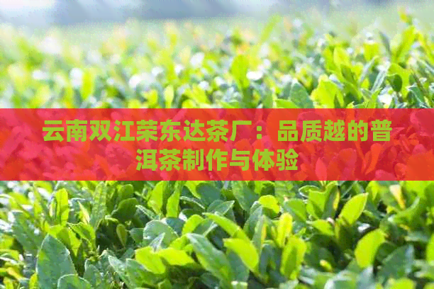 云南双江荣东达茶厂：品质越的普洱茶制作与体验