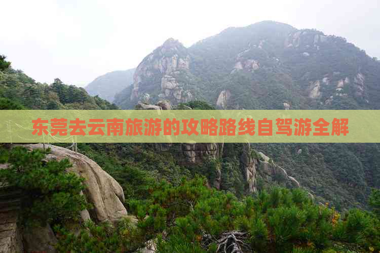 东莞去云南旅游的攻略路线自驾游全解