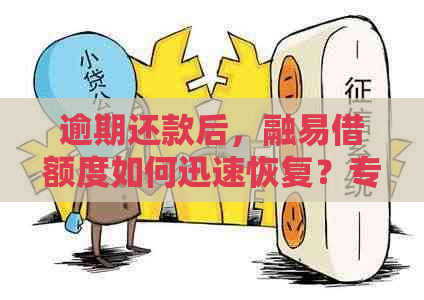 逾期还款后，融易借额度如何迅速恢复？专业解决方案助您避免归零风险！