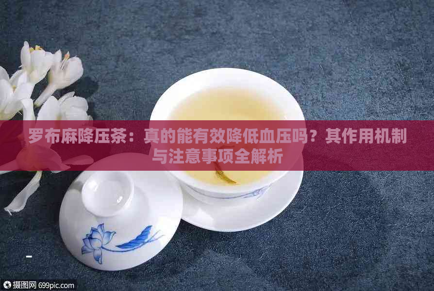 罗布麻降压茶：真的能有效降低血压吗？其作用机制与注意事项全解析