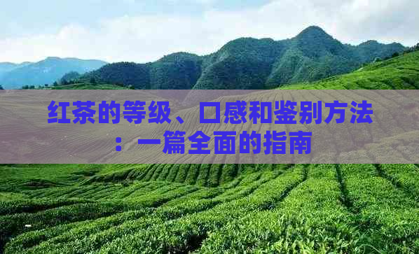 红茶的等级、口感和鉴别方法：一篇全面的指南