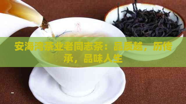 安海湾茶业老同志茶：品质越，历传承，品味人生