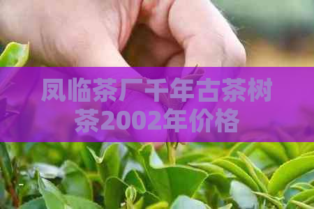 凤临茶厂千年古茶树茶2002年价格