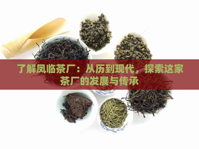 了解凤临茶厂：从历到现代，探索这家茶厂的发展与传承