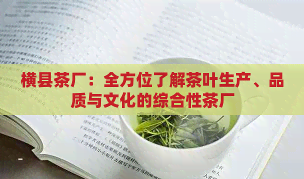 横县茶厂：全方位了解茶叶生产、品质与文化的综合性茶厂