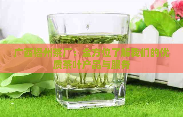 广西梧州茶厂：全方位了解我们的优质茶叶产品与服务