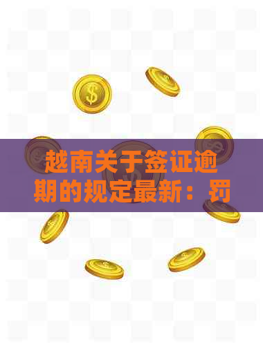 越南关于签证逾期的规定最新：罚款与时间线详解