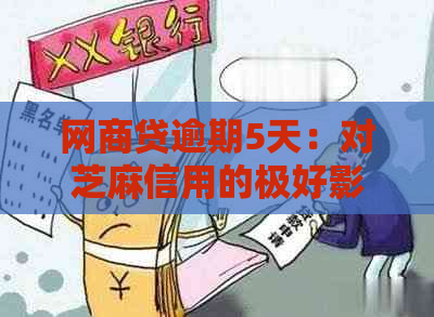 网商贷逾期5天：对芝麻信用的极好影响