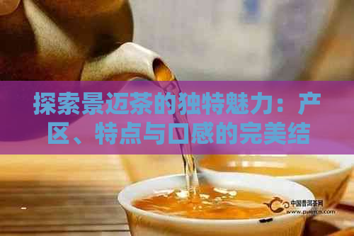 探索景迈茶的独特魅力：产区、特点与口感的完美结合