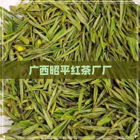 广西昭平红茶厂厂