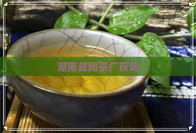 湖南益阳茶厂茯砖