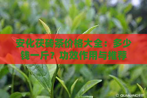 安化茯砖茶价格大全：多少钱一斤？功效作用与推荐