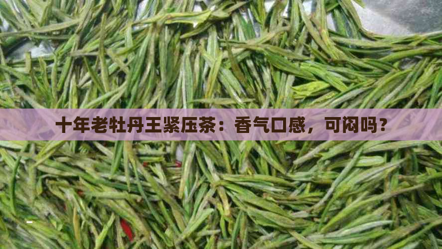 十年老牡丹王紧压茶：香气口感，可闷吗？