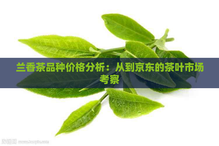 兰香茶品种价格分析：从到京东的茶叶市场考察