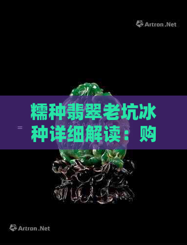 糯种翡翠老坑冰种详细解读：购买、鉴别与保养全攻略