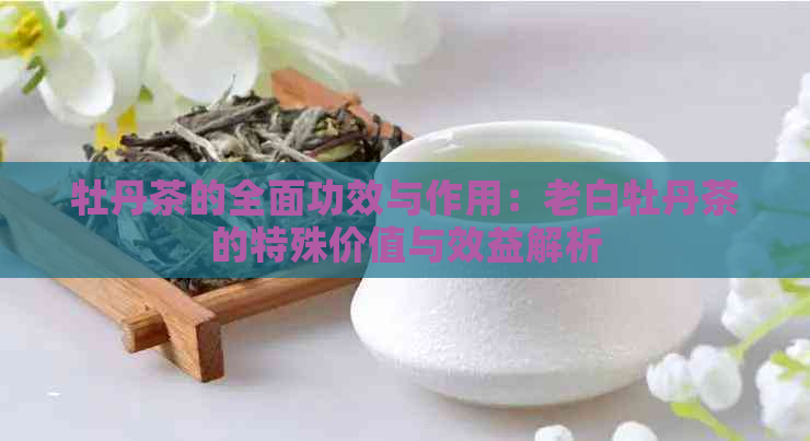 牡丹茶的全面功效与作用：老白牡丹茶的特殊价值与效益解析