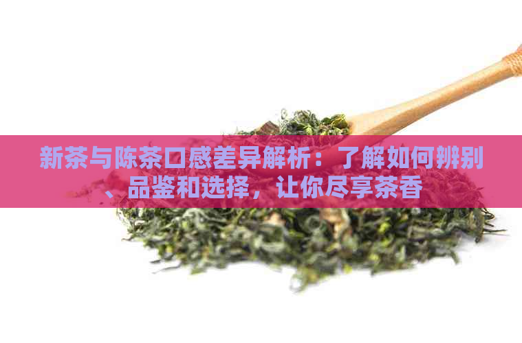 新茶与陈茶口感差异解析：了解如何辨别、品鉴和选择，让你尽享茶香