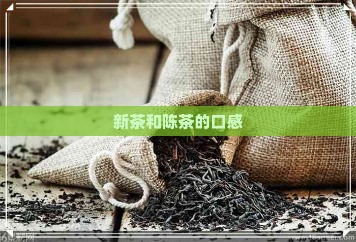 新茶和陈茶的口感