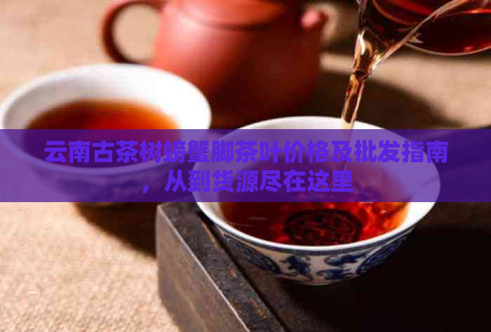 云南古茶树螃蟹脚茶叶价格及批发指南，从到货源尽在这里