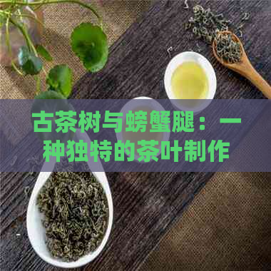 古茶树与螃蟹腿：一种独特的茶叶制作方法及其营养价值