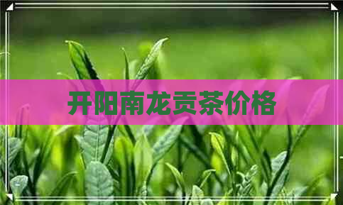 开阳南龙贡茶价格