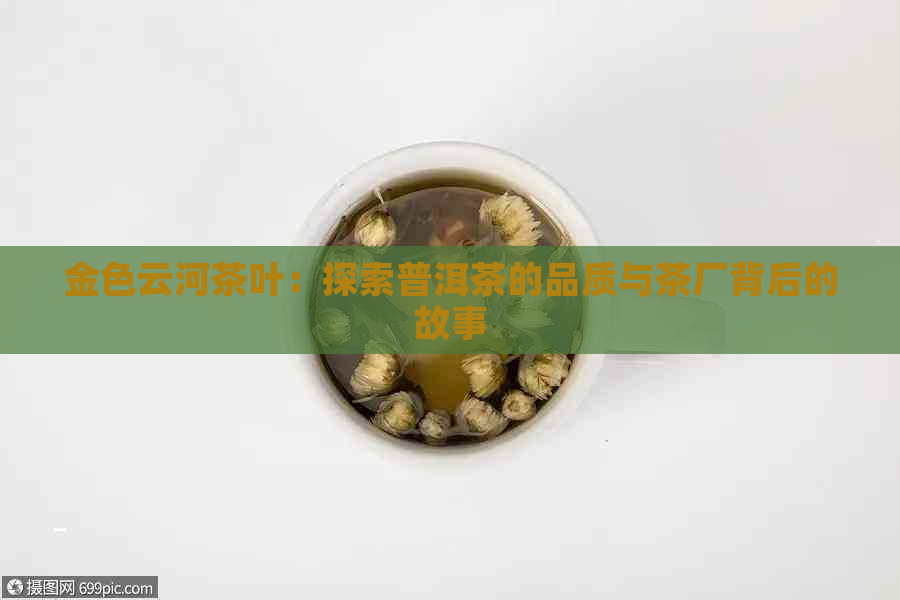 金色云河茶叶：探索普洱茶的品质与茶厂背后的故事