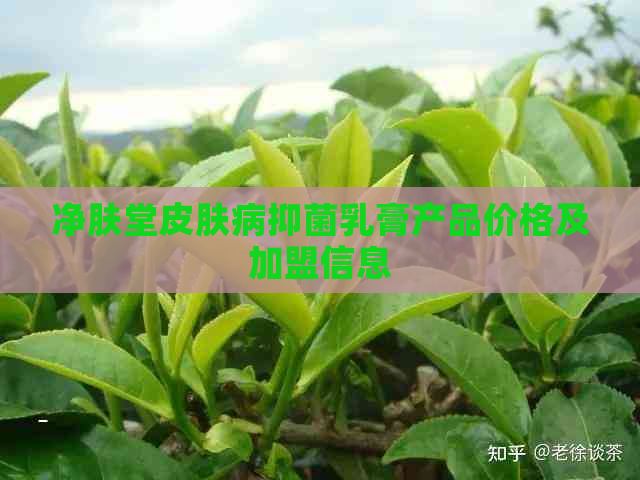 净肤堂皮肤病抑菌乳膏产品价格及加盟信息