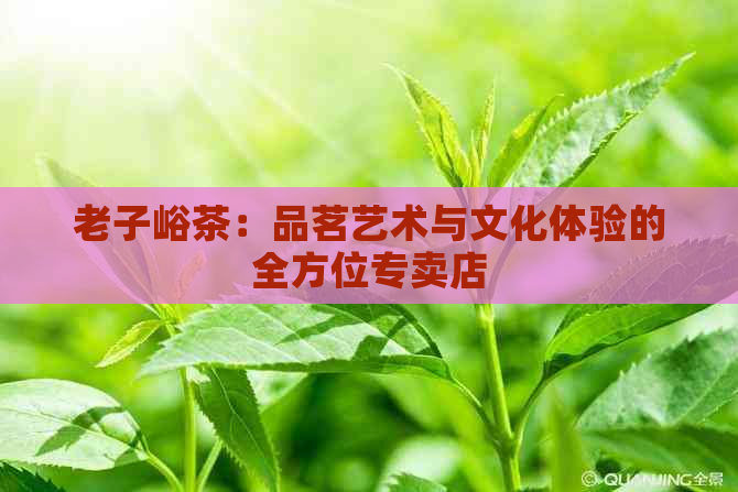 老子峪茶：品茗艺术与文化体验的全方位专卖店