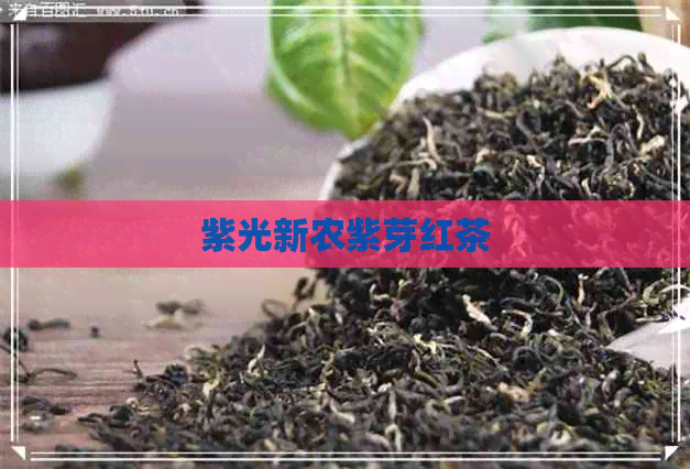 紫光新农紫芽红茶