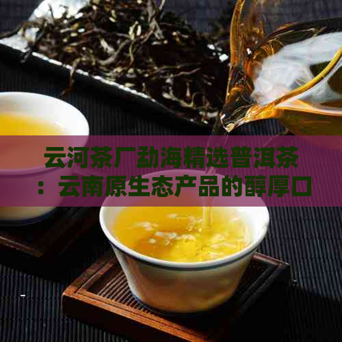 云河茶厂勐海精选普洱茶：云南原生态产品的醇厚口感