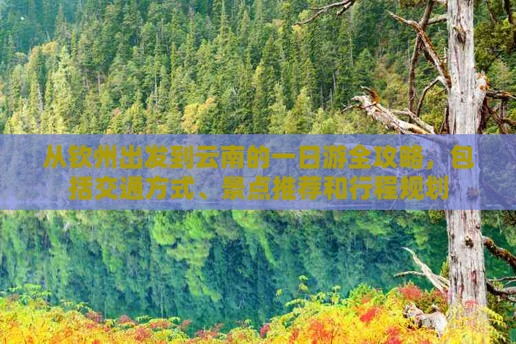 从钦州出发到云南的一日游全攻略，包括交通方式、景点推荐和行程规划