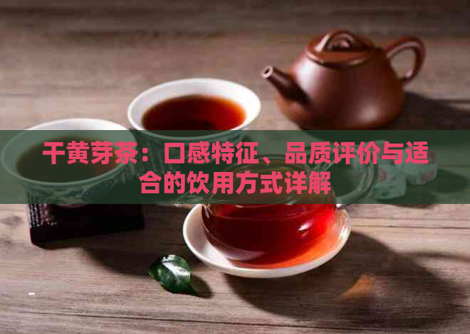 干黄芽茶：口感特征、品质评价与适合的饮用方式详解