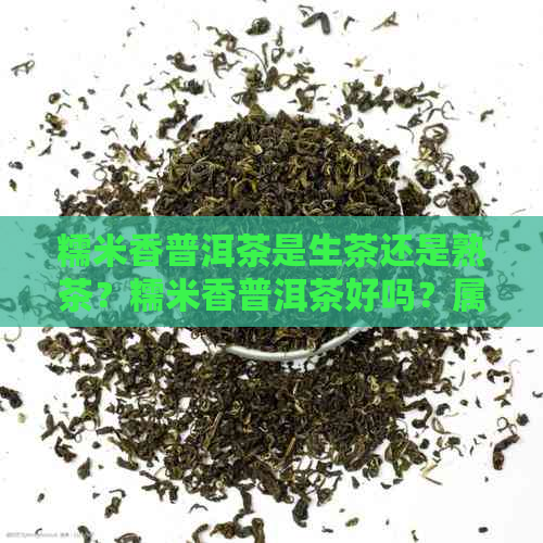 糯米香普洱茶是生茶还是熟茶？糯米香普洱茶好吗？属于红茶还是绿茶？