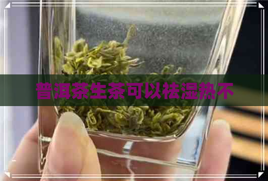 普洱茶生茶可以祛湿热不