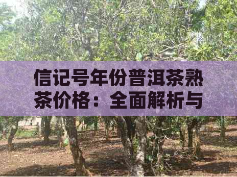 信记号年份普洱茶熟茶价格：全面解析与比较，助您轻松选购高品质熟茶