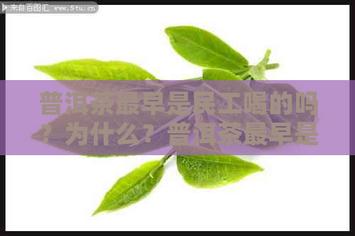 普洱茶最早是民工喝的吗？为什么？普洱茶最早是谁发现的？什么时候生产的？